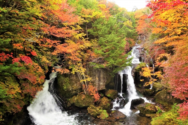 竜頭の滝紅葉