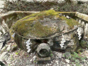 子種石イラスト