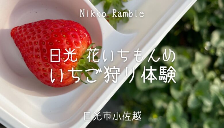 日光 花いちもんめ いちご狩り体験 予約とアクセス