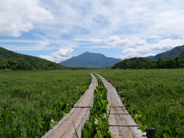尾瀬ケ原の燧ケ岳