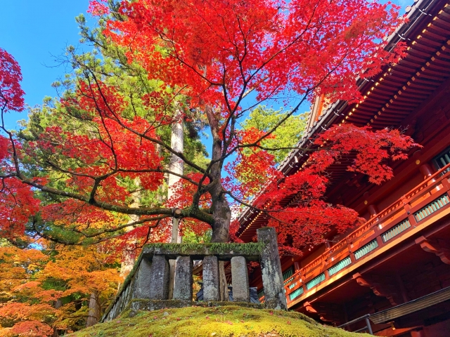 日光東照宮紅葉