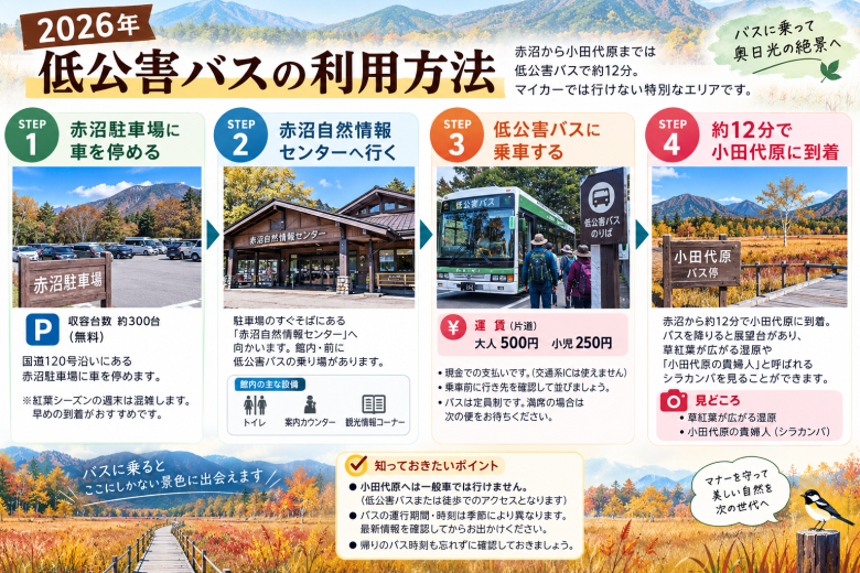 戦場ヶ原・小田代原の草紅葉2026駐車場や低公害バスも解説