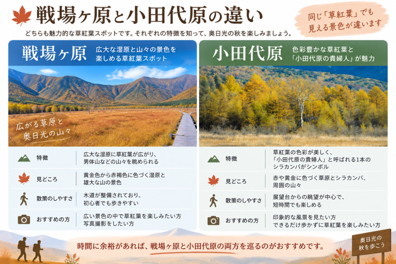 戦場ヶ原・小田代原の草紅葉2026