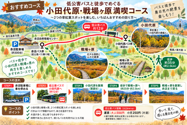 戦場ヶ原・小田代原の草紅葉2026駐車場や低公害バスも解説