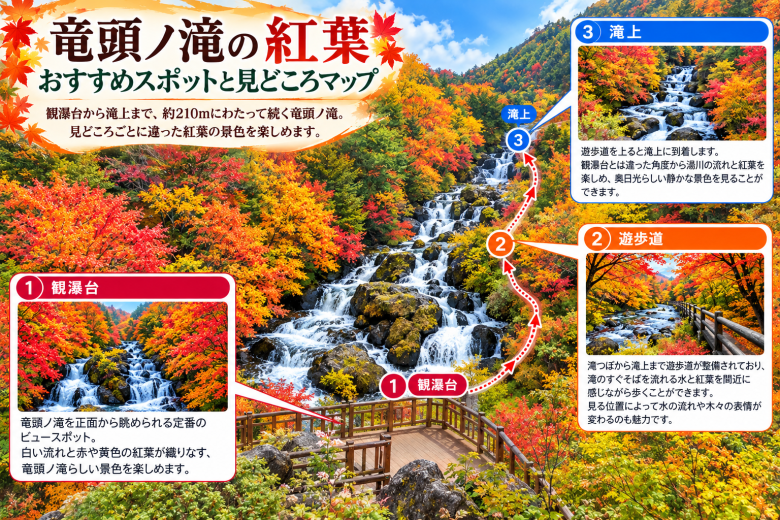 竜頭の滝の紅葉見どころスポット